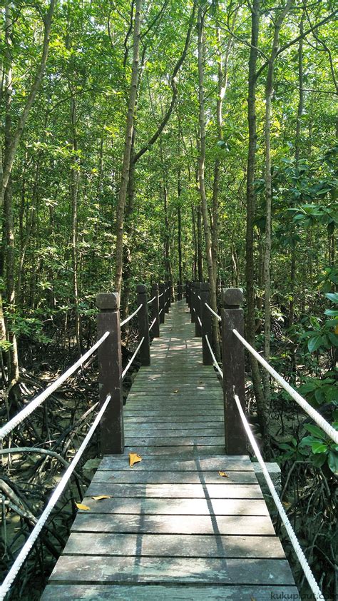 Pulau Kukup Johor National Park, Kukup's Natural Barrier- Kukup