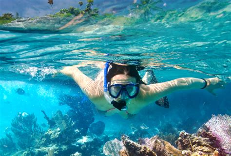 Best Scuba Diving in Oahu - Exploring the Island’s Greatest Reefs - CC Dive