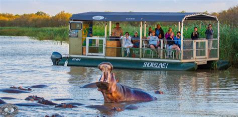 Magnificent Hippo & Croc Boat Cruise St Lucia KZN R380 P/P