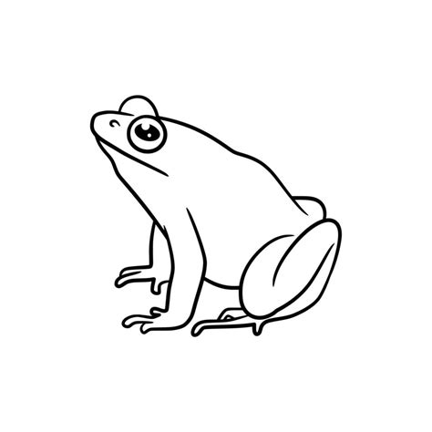 Frog line art drawing illustration 17286761 Vector Art at Vecteezy