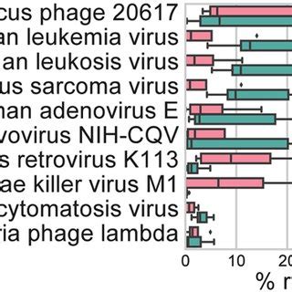 Virus transcripts in periodontal pockets. All virus genomes from NCBI ...