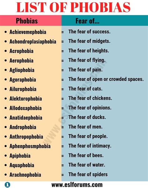 List of Phobias: Learn 105 Common Phobias of People around the World ...