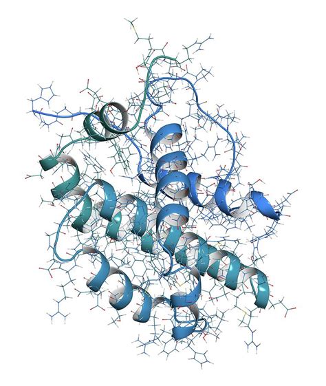 Bcl-2 Regulatory Protein Molecule Photograph by Molekuul/science Photo ...