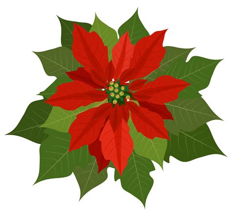 Poinsettia Clip Art Free - ClipArt Best