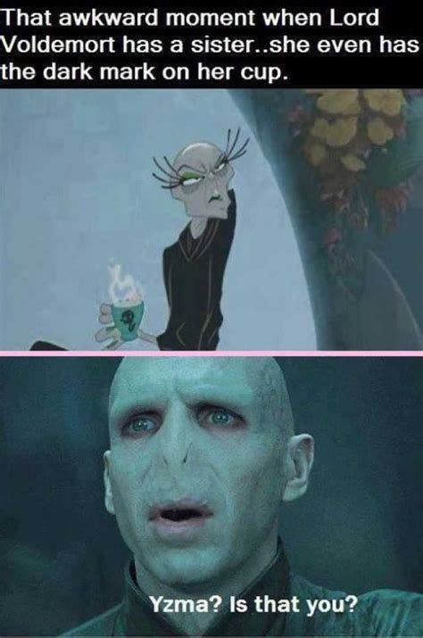 Harry Potter: 25 Memes That Show That Voldemort Makes No Sense | Harry ...