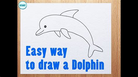 How To Sketch A Dolphin Step By Step at Drawing Tutorials