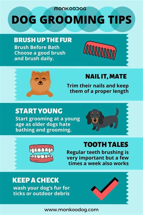 Dog Grooming Tips | Dog grooming tips, Dog grooming supplies, Dog grooming