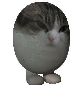 Egg Cat Bounce Sticker - Egg Cat Bounce 3d - Discover & Share GIFs