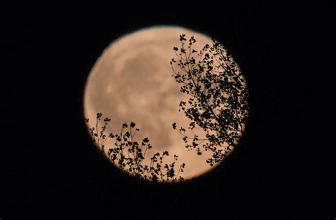 Harvest moon 2020: when to see the October full moon from the UK - and ...