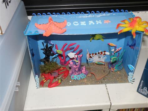 Under the Sea- Ocean Dioramas | Ocean projects, Ocean diorama, Ocean ...