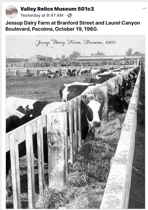 Pin on Milk Trucks | California history, California photos, San luis ...