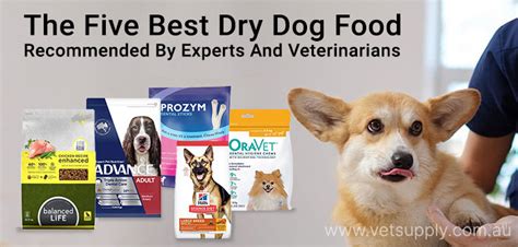 The Five Best Dry Dog Food: Recommended By Experts And Veterinarians