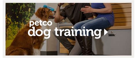 petco dog training