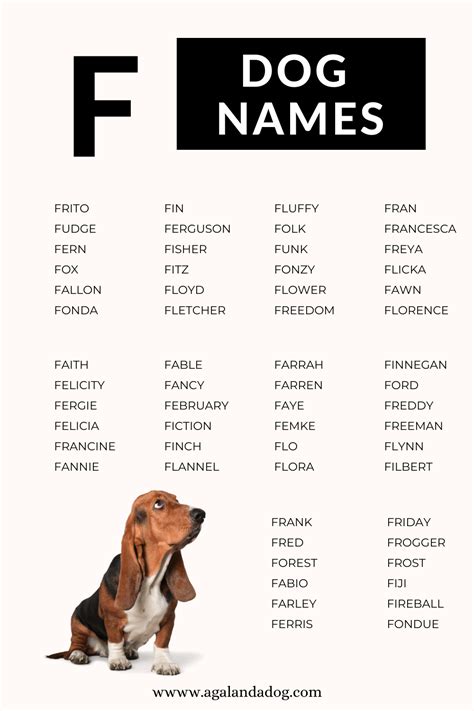 F Dog Names - List of Dog Names, Male and Female Options | Dog names ...