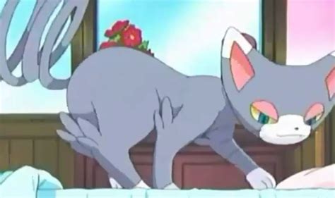 Cat Pokémon: Ranking All The Best Felines In The Entire Franchise ...