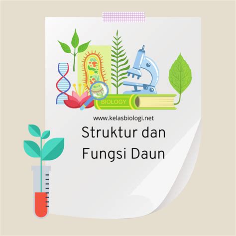 Belajar Fisiologi Tumbuhan Bab : Fungsi dan Struktur Tumbuhan