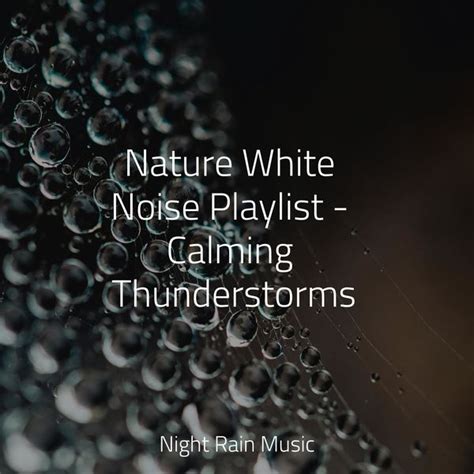 Nature White Noise Playlist - Calming Thunderstorms, Rain Sounds ...