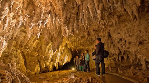 Spellbound – Waitomo Glowworm Cave Tours