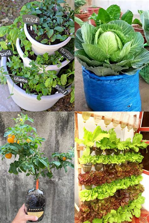 35 Creative Container Vegetable Garden Ideas - A Piece Of Rainbow