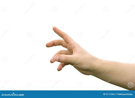 Extended hand stock photo. Image of hand, lifes, open - 5111244