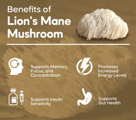 Health Benefits Of Lion's Mane Mushroom