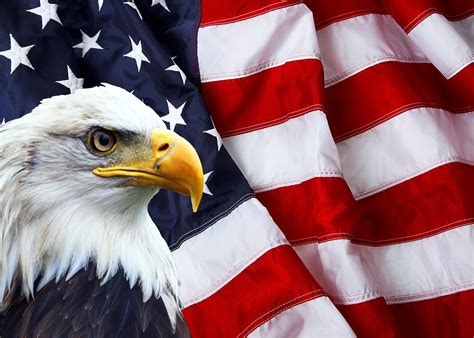 American Flag Eagle Wallpaper