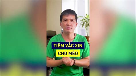 Tổng hợp kiến thức chăm sóc Cún và Mèo - YouTube