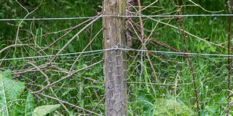 How to Securely Attach Chicken Wire to Wood Fence?