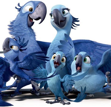 Image - Spix Macaw Family.png | Rio Wiki | Fandom powered by Wikia