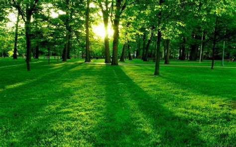 nature, Landscape, Green, Grass Wallpapers HD / Desktop and Mobile ...