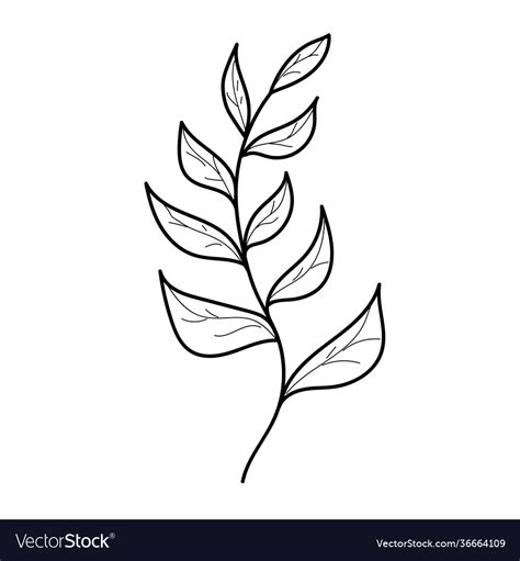 Outline icon a branch with leaves Royalty Free Vector Image