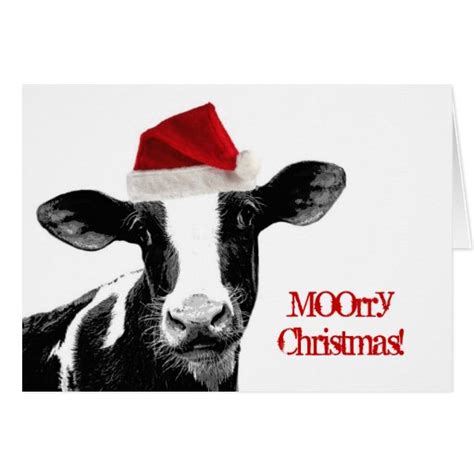 Santa Cow - Dairy Cow wearing Santa Hat Cards | Zazzle