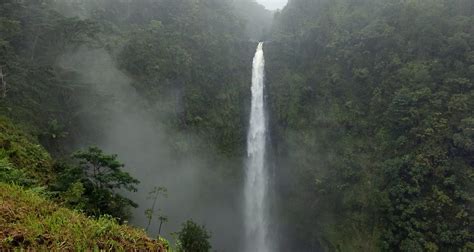 A Complete Hiking Guide To Akaka Falls State Park - The Simple Hiker