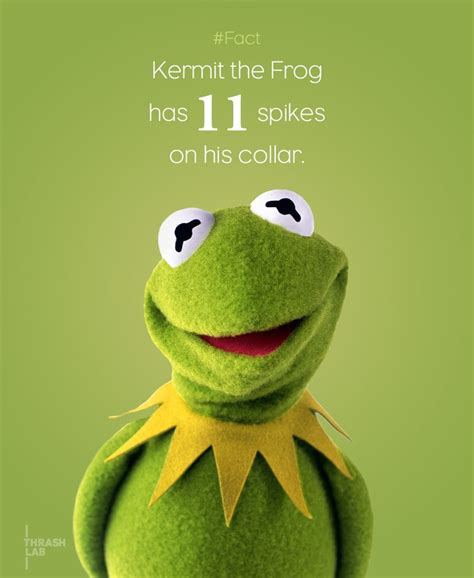 The 25 Best Ideas for Kermit the Frog Funny Quotes - Home, Family ...