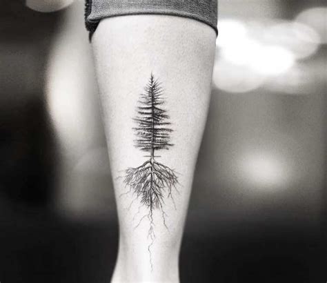 Fir Tree Roots Tattoo