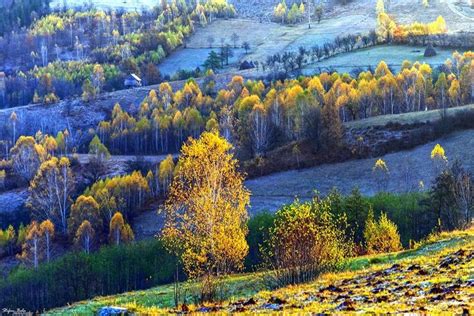 Autumn in Maramures County - photo by Stefan Bela | Beautiful yards ...