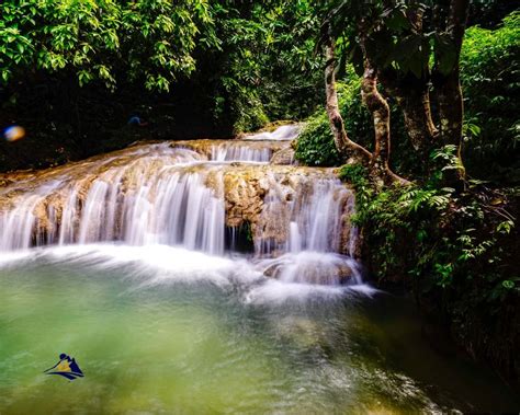 Discover The Hidden Treasures: The Best Waterfalls To Visit In Sapa