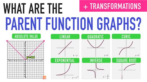 Parent Functions and Parent Graphs Explained — Mashup Math