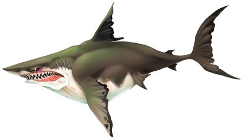 Hungry Shark Megalodon PNG by TFPrime1114 on DeviantArt