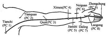 Acupuncture.Com - Acupuncture Points - Pericardium Meridian (Channel)