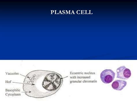 Plasma cell disorders