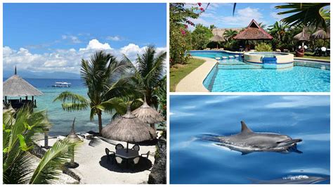 Dolphin House Resort: Eco-friendly slice of paradise in Moalboal ...