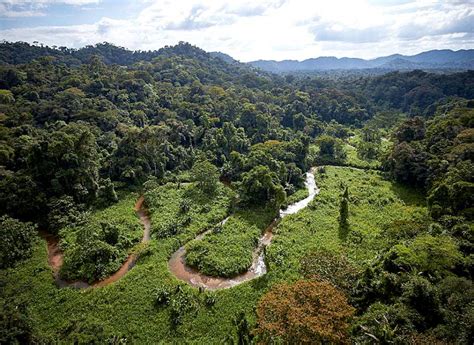 White City, Honduras-The Most Mysterious Destination for Archaeologists ...