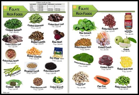 Food With Folic Acid | TimesPalace