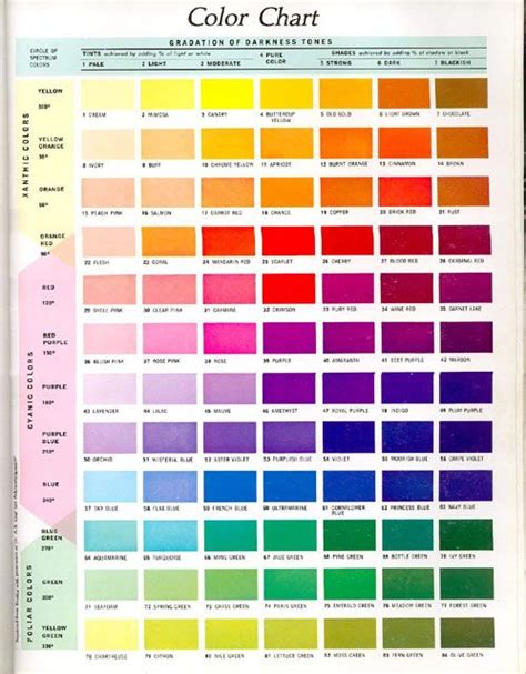 Color Palette Popular Colors Color Chart Patterns And Names Rgb Hex ...