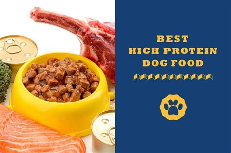 Best High Protein Dog Food 2021 - Totally Goldens