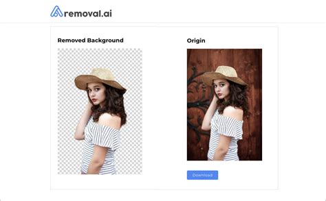 Top 10 Free Online Background Remover Tools | Removal.AI