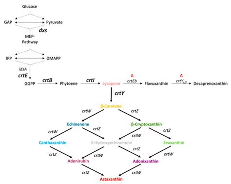 Fermentation | Free Full-Text | Design-of-Experiment-Guided ...