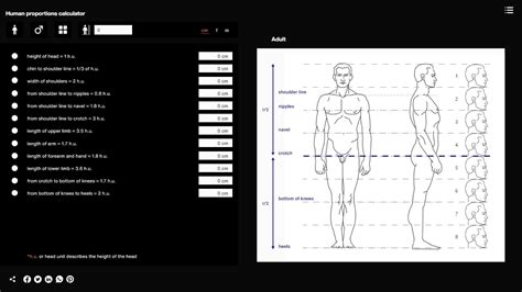 About Human proportions Calculator | Anatomy For Sculptors