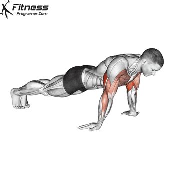 How To Do Reverse Push-up | Push up muscles, Workout plan gym, Gym ...